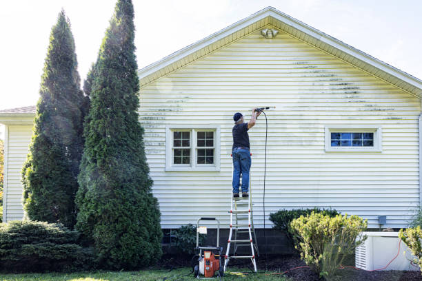 Best Soft Washing  in Lowesville, NC